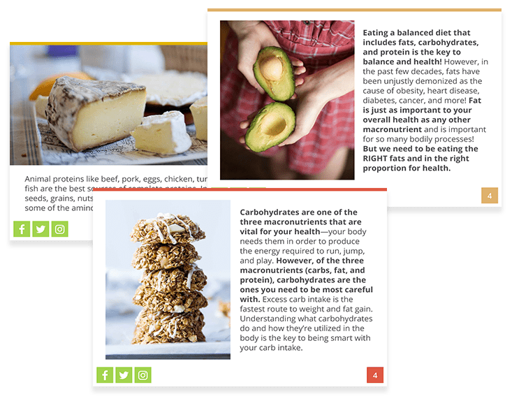 Three overlapping informational cards about nutrition, featuring images of cheese, avocado, and oat cookies, alongside text discussing proteins, fats, and carbohydrates.